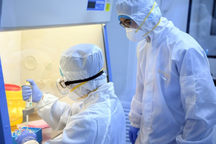 Bộ trưởng Nga: “Mất ít nhất 8 tháng phát triển vắc xin chống virus corona”