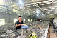 Từ mất phương hướng sau khi về nước đến ông chủ trang trại quy mô lớn