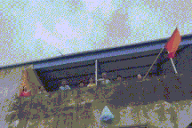 Người dân vùng ngập 2m vẫy cờ reo hò từ mái nhà: "Có cứu trợ rồi!"