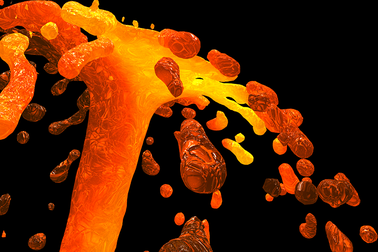 Sự hình thành núi lửa mới được báo trước bởi hàng trăm trận động đất