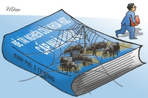 Bò ơi, giá như bò biết đọc, biết viết để làm đơn xin được về rừng!