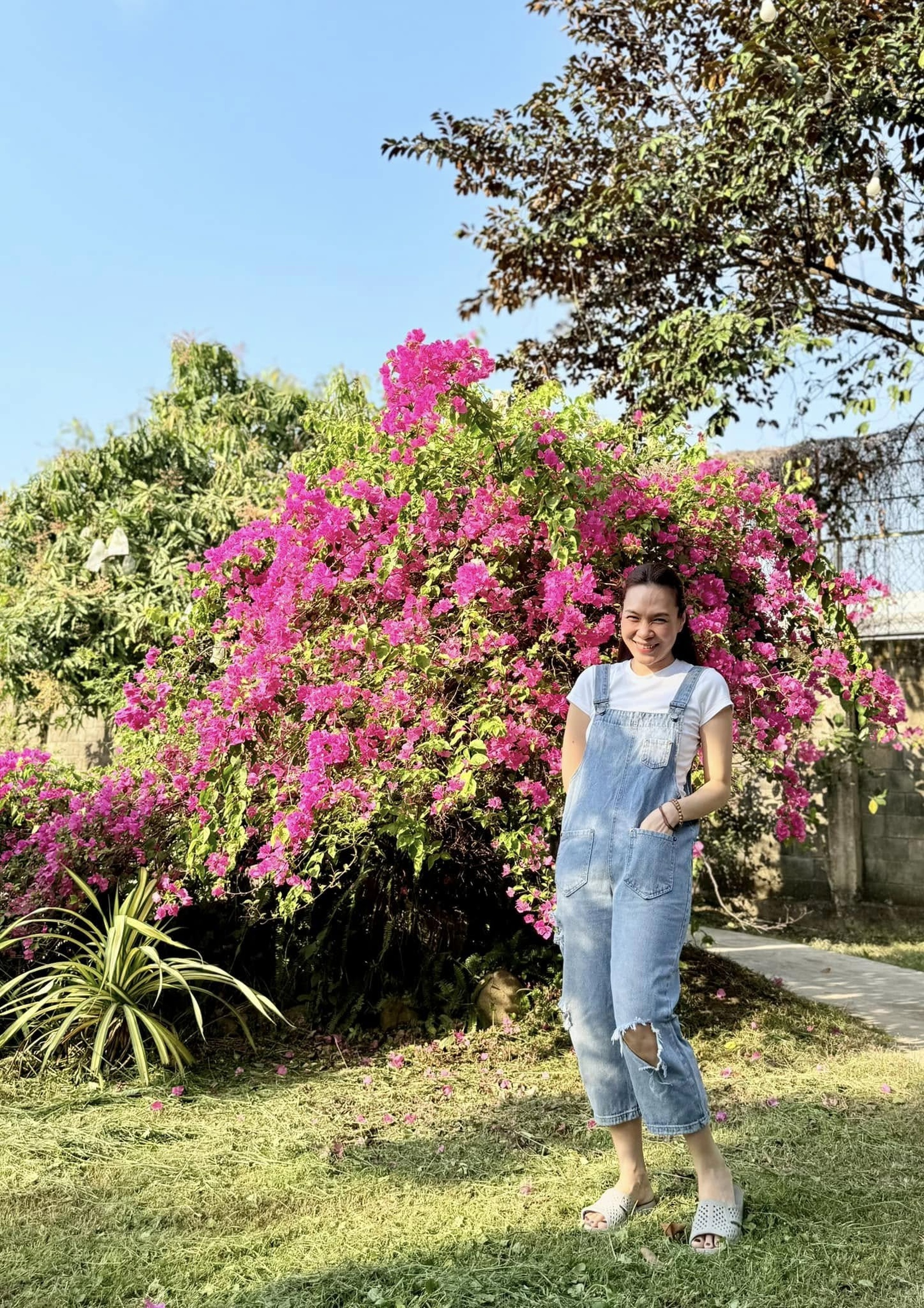 Mỹ Tâm tuổi 44: Nhan sắc trẻ trung, cuộc sống bình dị ở nhà vườn nghìn m2 - 9 Mỹ Tâm tuổi 44: Nhan sắc trẻ trung, cuộc sống bình dị ở nhà vườn nghìn m2 - 9