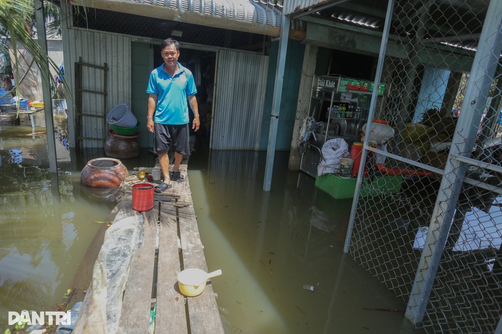 Nhiều diện tích lúa, cây ăn trái ở Tây Ninh hư hại nặng sau mưa lũ - 1