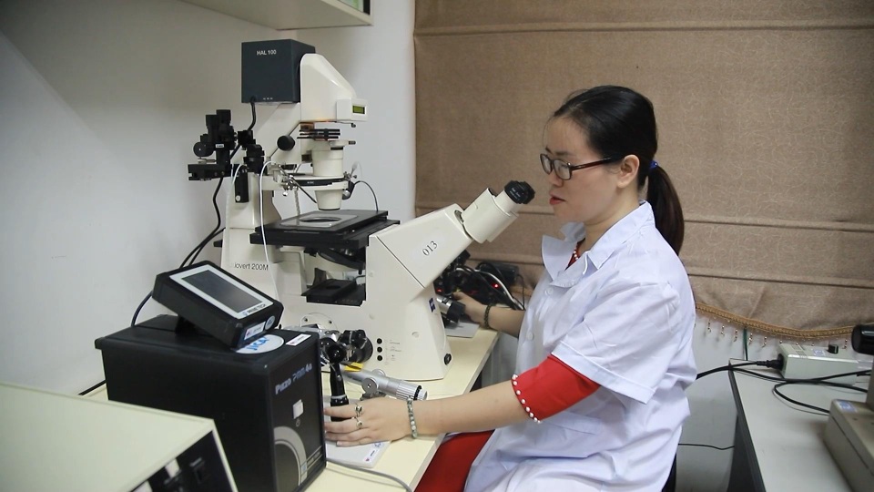 Việt Nam nhân bản thành công giống lợn tưởng đã tuyệt chủng từ mẩu mô tai - 3 Việt Nam nhân bản thành công giống lợn tưởng đã tuyệt chủng từ mẩu mô tai - 3