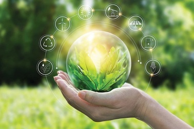 CBAM: Áp lực hay cú hích để doanh nghiệp Việt chuyển đổi xanh?