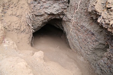 Quảng Trị: Bảo tồn một đoạn địa đạo mới phát lộ ở Vĩnh Linh để làm du lịch