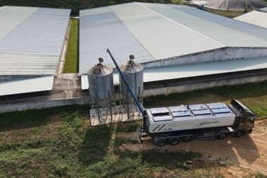 Trại chăn nuôi phát triển theo hướng bền vững và hiệu quả