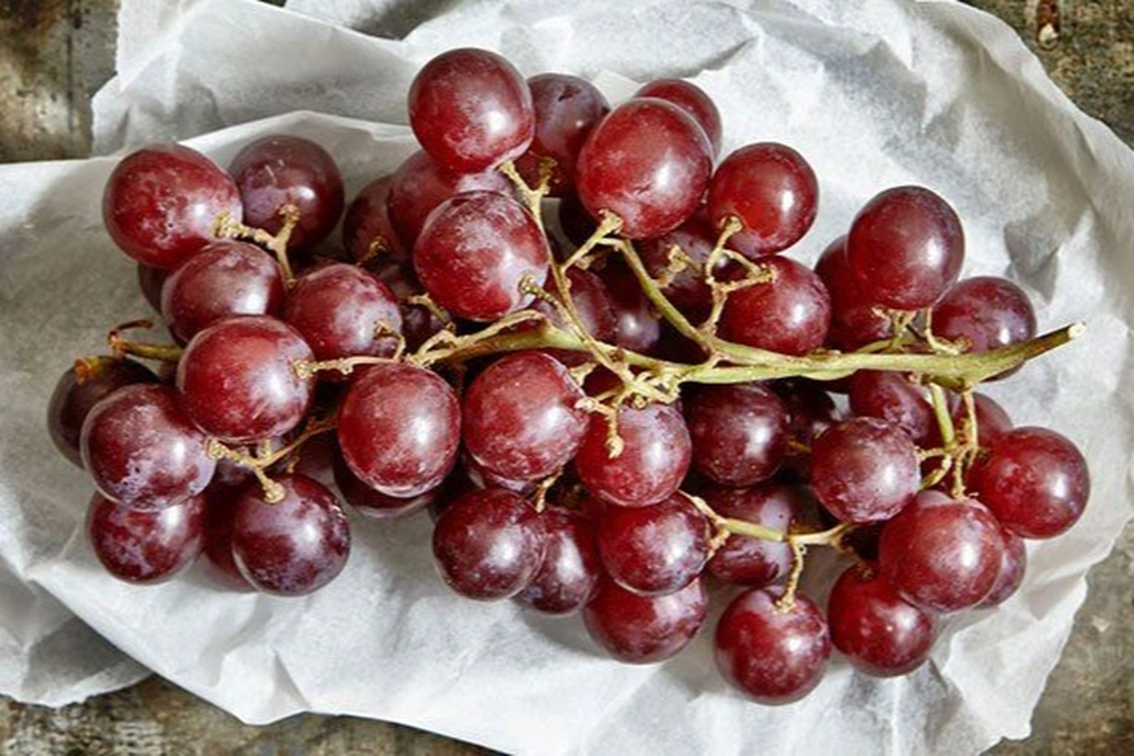 all-about-grapes-722x406-edited.jpeg all-about-grapes-722x406-edited.jpeg