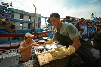 Bia Bivina: Cảm hứng từ “chất biển” trong nhịp sống người dân miền duyên hải
