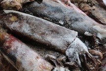 Giáp Tết, xúc xích, mực cùng loạt đồ nhập lậu Trung Quốc ồ ạt vào Việt Nam