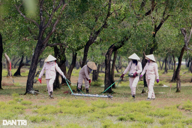 Những bóng hồng "săn tử thần", sai lầm không có cơ hội rút kinh nghiệm