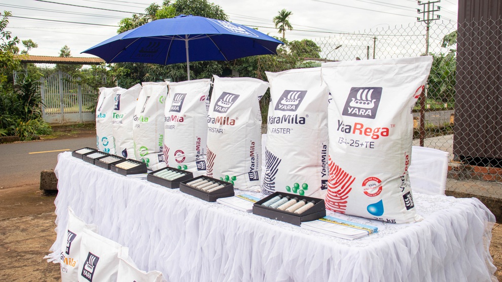 Nhà nông gặt hái thành quả vụ sầu riêng bền vững qua mô hình hợp tác ba bên - 3