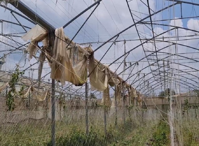 Dự án nhà màng nông nghiệp ở Trung tâm ứng dụng công nghệ sinh học Đồng Nai (ảnh: internet).