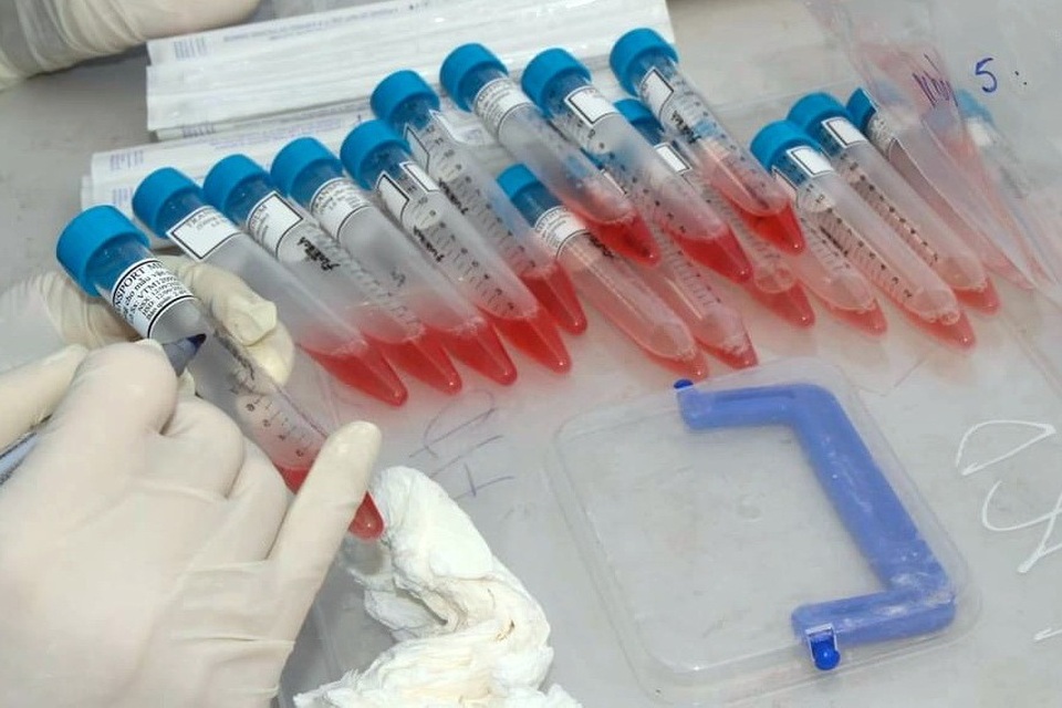 Nam sinh lớp 10 dương tính SARS-CoV-2, 53 học sinh, giáo viên phải cách ly - 2 Nam sinh lớp 10 dương tính SARS-CoV-2, 53 học sinh, giáo viên phải cách ly - 2