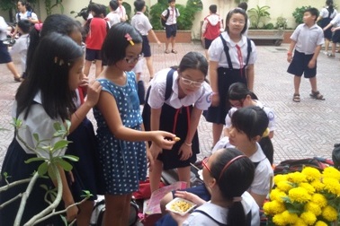 64 học sinh tiểu học nôn ói sau bữa ăn