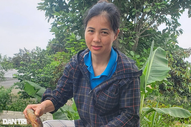 Bí quyết giúp nông dân lãi 400 triệu đồng/năm, nuôi con đi du học