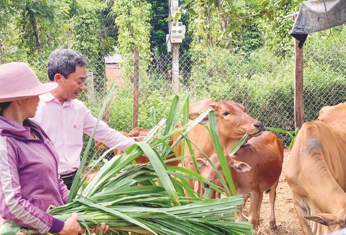 Nhiều hộ nghèo được vay vốn để phát triển sản xuất, vươn lên thoát nghèo, làm giàu.                                                                                       