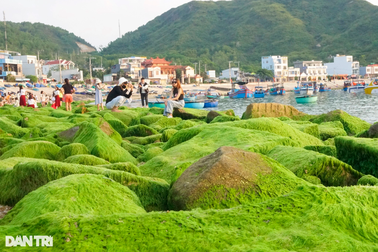 Tranh cãi thông tin Bình Định đón 1,3 triệu lượt khách trong 3 tháng