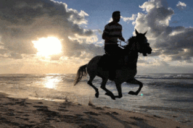 Những khoảnh khắc ảnh tin tức đẹp nhất năm 2017