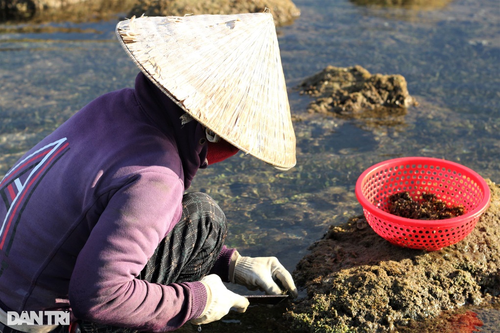 Còng lưng, khom gối cạo tiền trên ghềnh đá - 4 Còng lưng, khom gối cạo tiền trên ghềnh đá - 4
