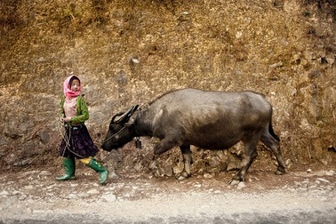Việt Nam đoạt giải đồng cuộc thi ảnh quốc tế về Trẻ em