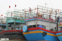 Điều gì khiến ngư dân càng vươn khơi càng thua lỗ?