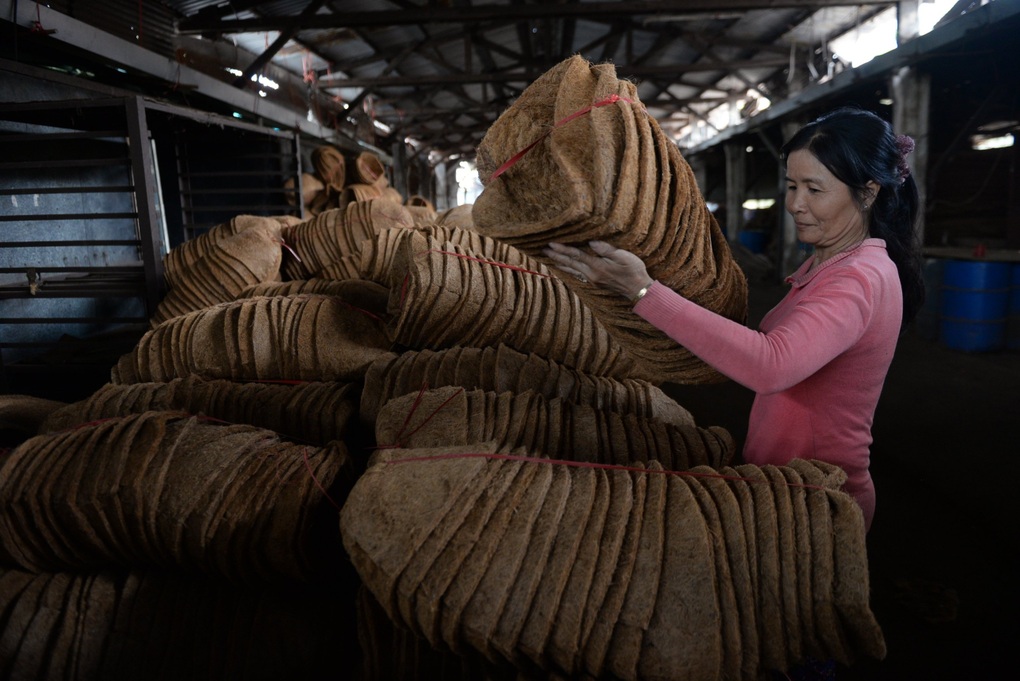 Hỗ trợ việc làm cho 100.000 lao động nghèo - 1 Hỗ trợ việc làm cho 100.000 lao động nghèo - 1