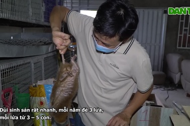 Anh nông dân tiết lộ bí quyết nuôi con "ăn ngày ngủ đêm" cho thu nhập cao