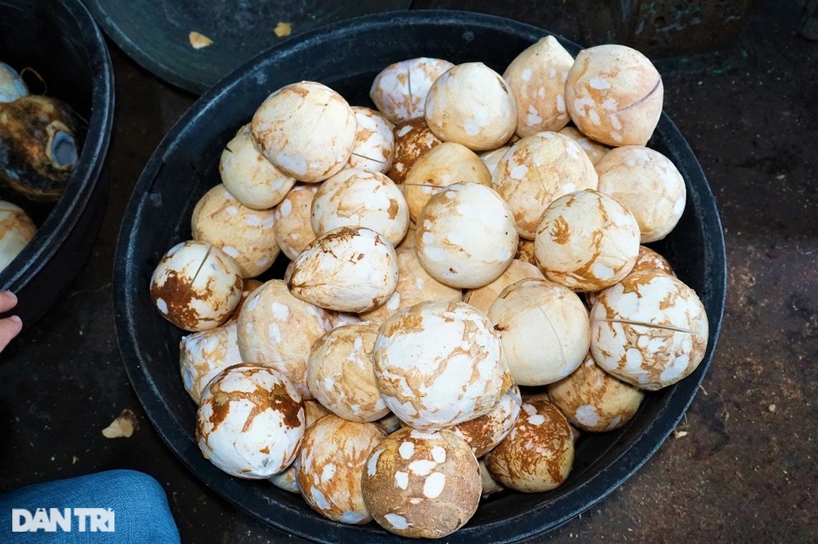 Nghề chặt đau tay kiếm vài trăm nghìn đồng mỗi ngày giáp Tết - 6 Nghề chặt đau tay kiếm vài trăm nghìn đồng mỗi ngày giáp Tết - 6