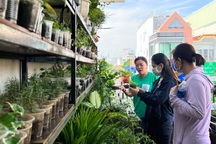 Chợ phiên có hàng nghìn cây giống giá 0 đồng trên nóc nhà 20m2
