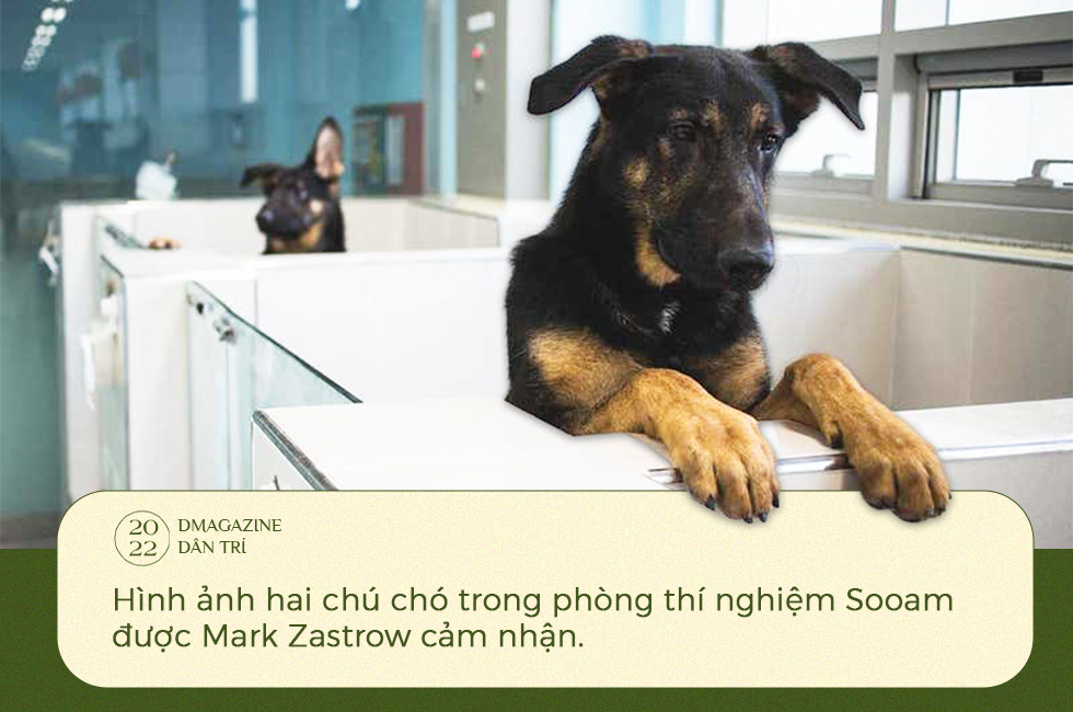 Phép màu cứu rỗi sinh vật bên bờ tuyệt chủng và tranh cãi của khoa học - 17 Phép màu cứu rỗi sinh vật bên bờ tuyệt chủng và tranh cãi của khoa học - 17