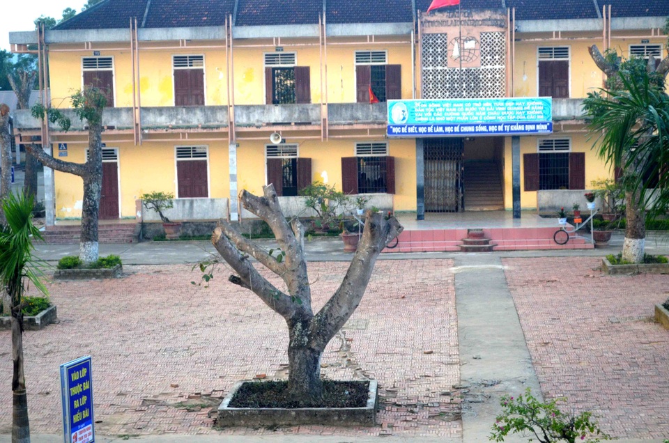 Hàng loạt cây xanh trong khuôn viên nhà trường bị cắt tỉa cành trơ trọi - 4 Hàng loạt cây xanh trong khuôn viên nhà trường bị cắt tỉa cành trơ trọi - 4