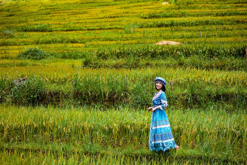 Sa Pa quyến rũ mùa lúa thay màu! - 3 Sa Pa quyến rũ mùa lúa thay màu! - 3