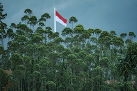 Động đất 7,7 độ gây cảnh báo sóng thần ở Indonesia