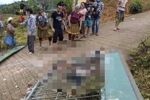 Vụ 3 học sinh tử vong do sập cổng trường: Bộ Giáo dục yêu cầu báo cáo