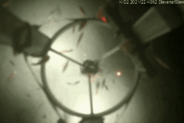 Bất ngờ phát hiện dòng sông dài 10,5km chứa đầy sinh vật dưới băng