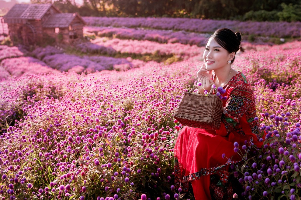 Ngắm tà áo dài khoe sắc trên cánh đồng hoa cúc bách nhật hồng tím độc đáo - 8
