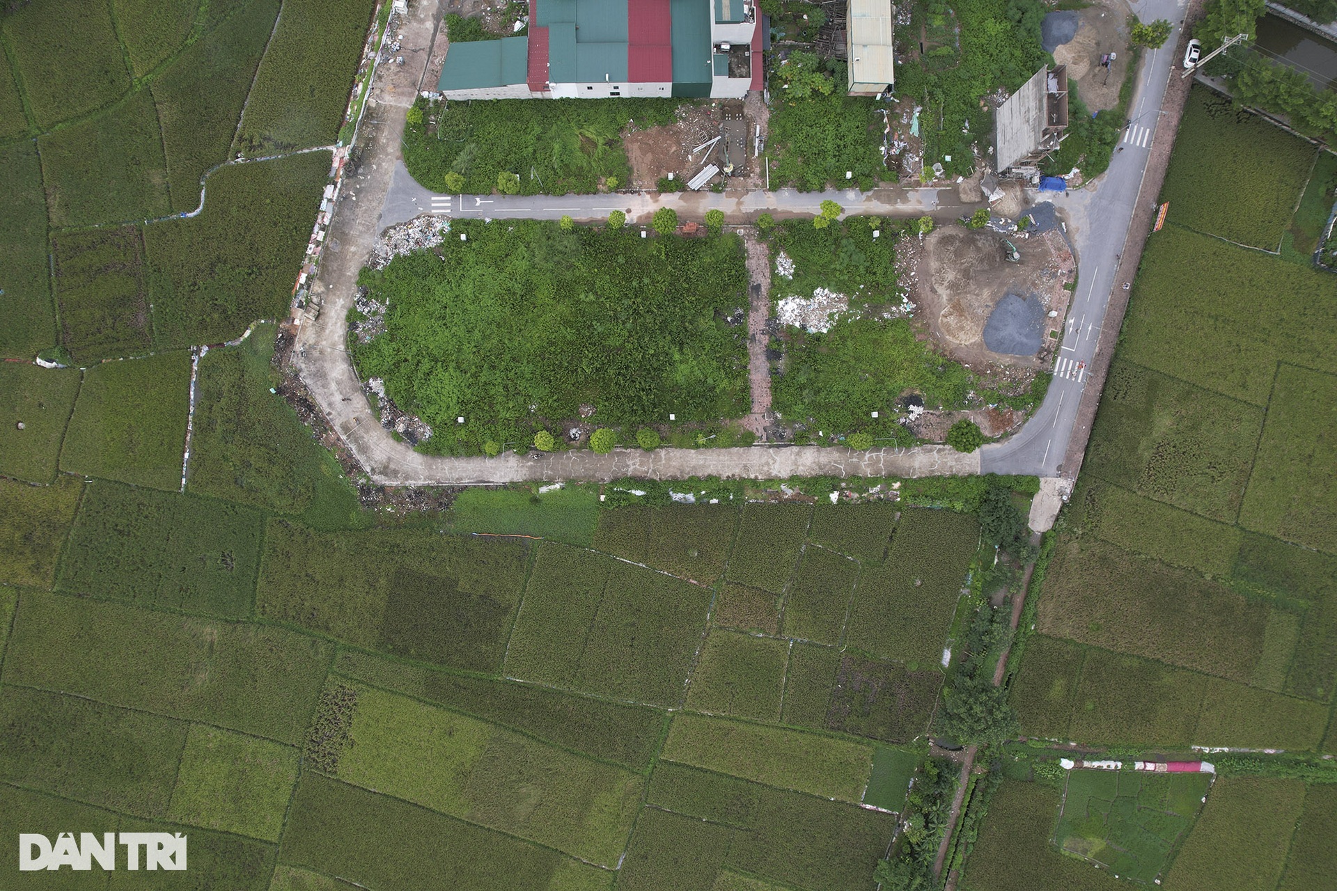 Những mùa lúa cuối cùng vùng ngoại thành Hà Nội - 5 Những mùa lúa cuối cùng vùng ngoại thành Hà Nội - 5