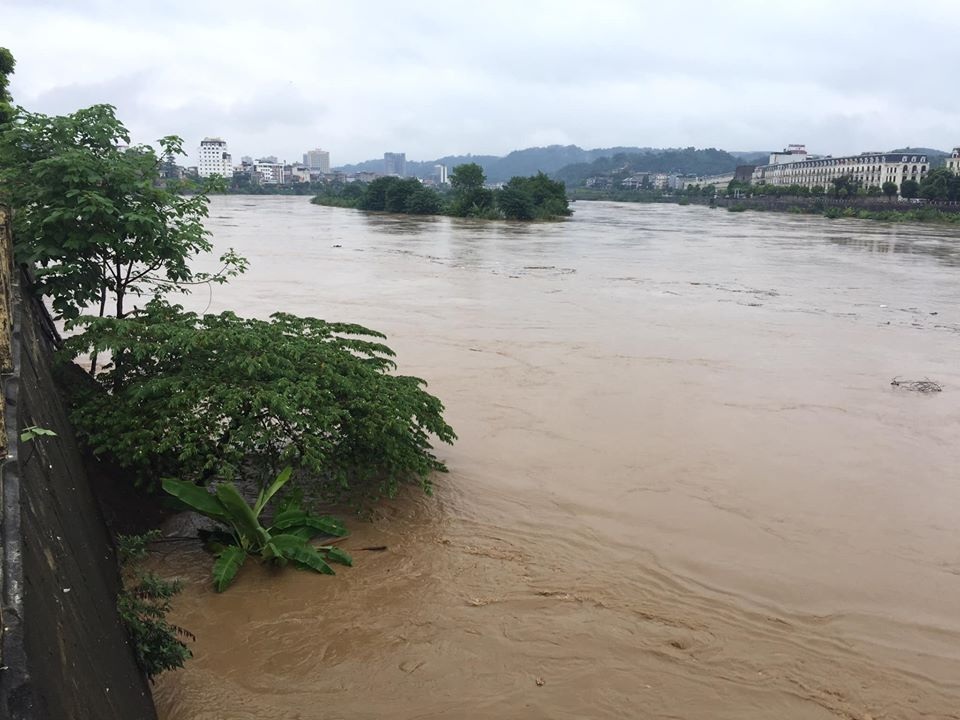 Lũ lớn nhấn chìm đảo Soi Tiền nằm giữa sông Hồng - 4 Lũ lớn nhấn chìm đảo Soi Tiền nằm giữa sông Hồng - 4