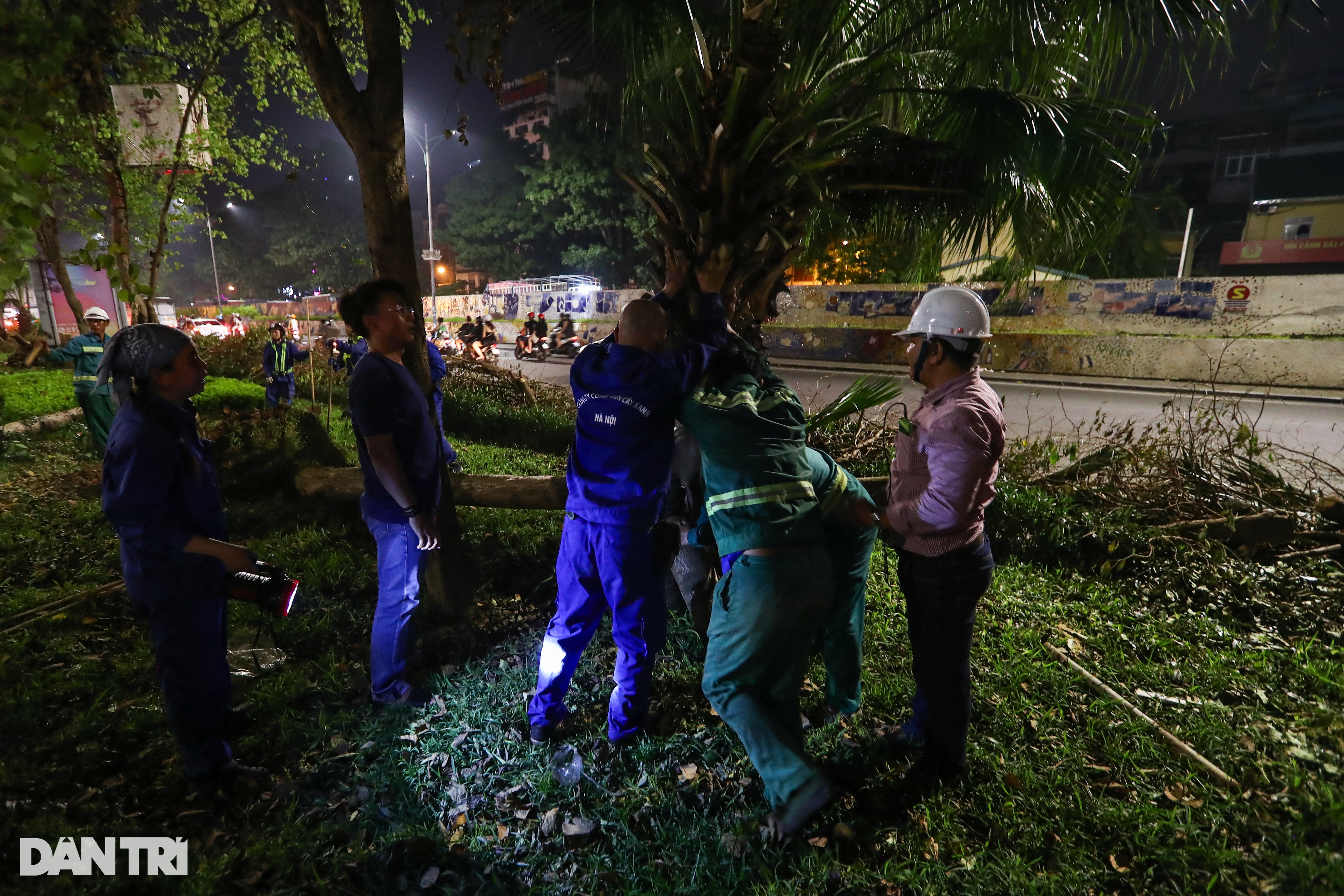 View - Đội tinh nhuệ từ các địa phương xuyên đêm dọn dẹp cây xanh hỗ trợ Hà Nội | Báo Dân trí