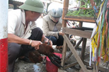 Buồn thương bìm bịp kêu chiều