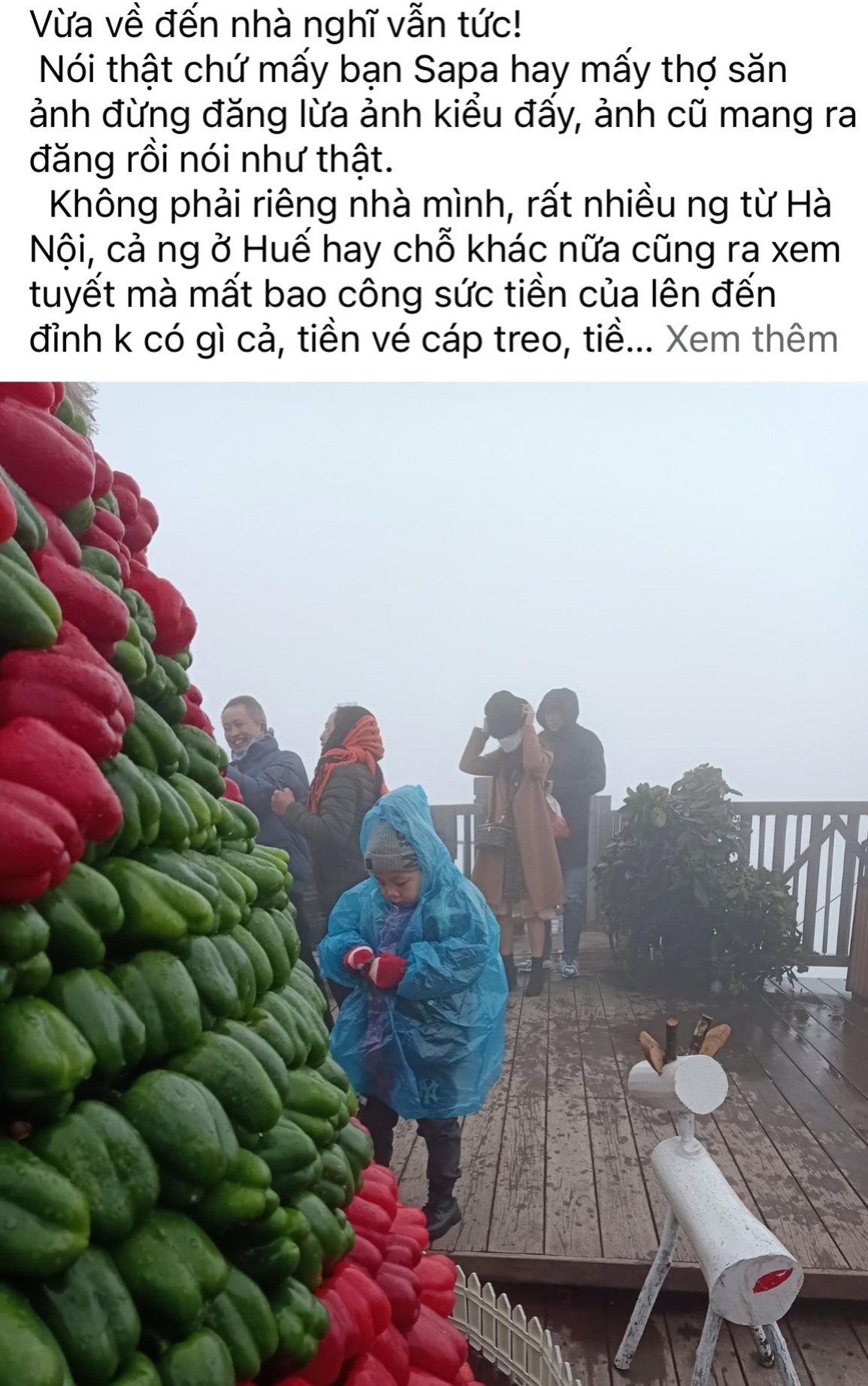 Thực hư tuyết phủ trắng xóa như trời Âu tại Sa Pa - 6 Thực hư tuyết phủ trắng xóa như trời Âu tại Sa Pa - 6