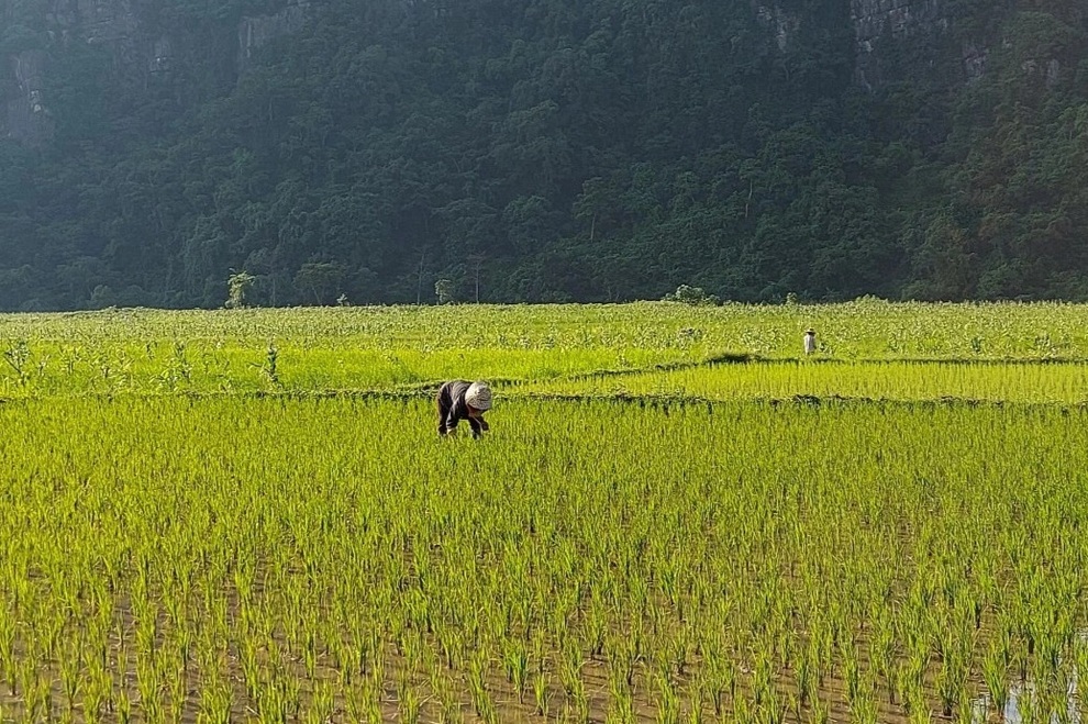 Thanh tra vào cuộc vụ cán bộ nhận tiền dân tự nguyện hỗ trợ - 2 Thanh tra vào cuộc vụ cán bộ nhận tiền dân tự nguyện hỗ trợ - 2