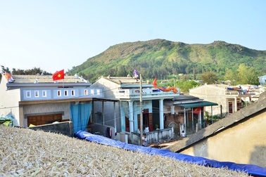 Tháng 4, "vàng trắng" phủ kín các mái nhà trên đảo Lý Sơn