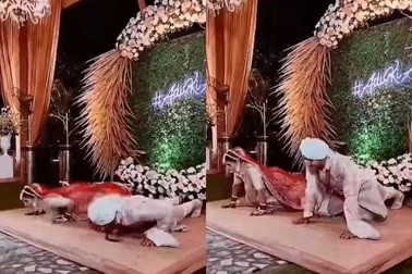 Hài hước cảnh cô dâu, chú rể... chống đẩy trong hôn lễ