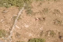 Rợn người khoảnh khắc 2 cô gái bị báo hoa mai rượt đuổi và tấn công