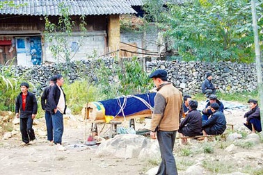 Đưa Vua Mèo về núi