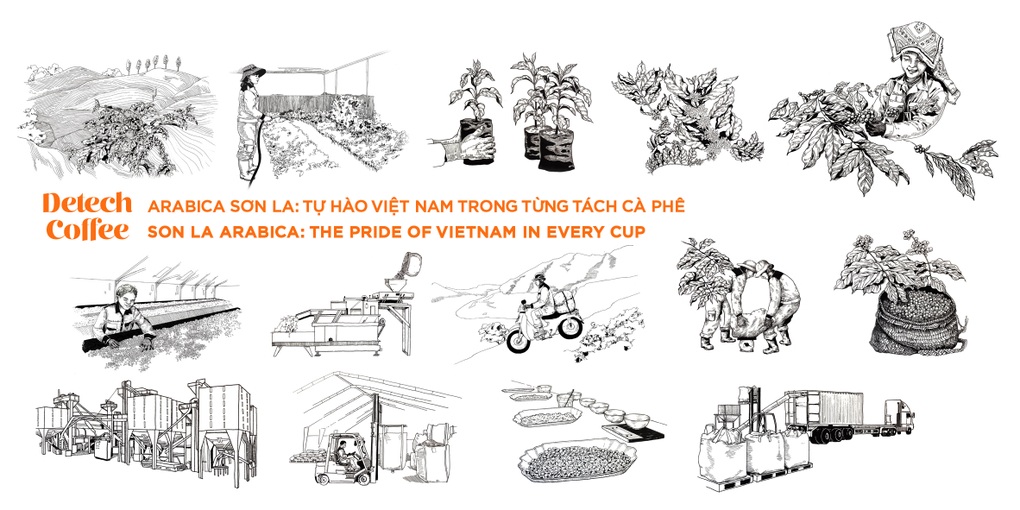 Detech Coffee góp phần thúc đẩy ngành cà phê bền vững tại Việt Nam - 2 Detech Coffee góp phần thúc đẩy ngành cà phê bền vững tại Việt Nam - 2