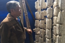 Lão nông thu tiền tỷ mỗi năm nhờ trồng nấm