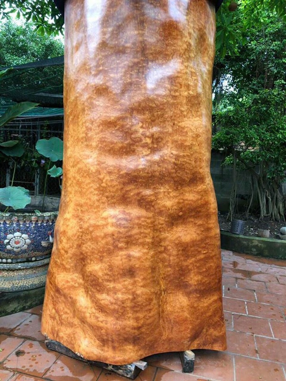 Khúc gỗ bỏ xó trong vườn, ngỡ ngàng khi biết giá trị thật - 4 Khúc gỗ bỏ xó trong vườn, ngỡ ngàng khi biết giá trị thật - 4